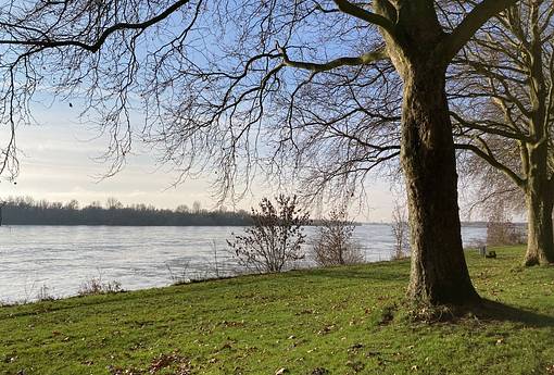 1:1 Coaching-Auszeit am Niederrhein - Zeit für dich und das, was dich bewegt 1:1 Coaching-Auszeit am Niederrhein - Zeit für dich und das, was dich bewegt