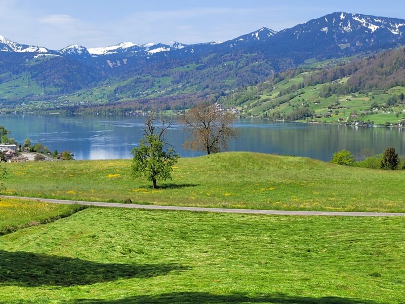 Stärke Deine Intuition, 1 Woche Auszeit in Sachseln (Schweiz), 30.April - 6. Mai 2025