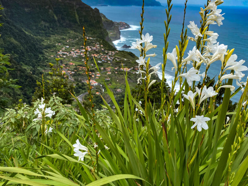 Deine Auszeit auf Madeira – Finde Klarheit und neue Kraft