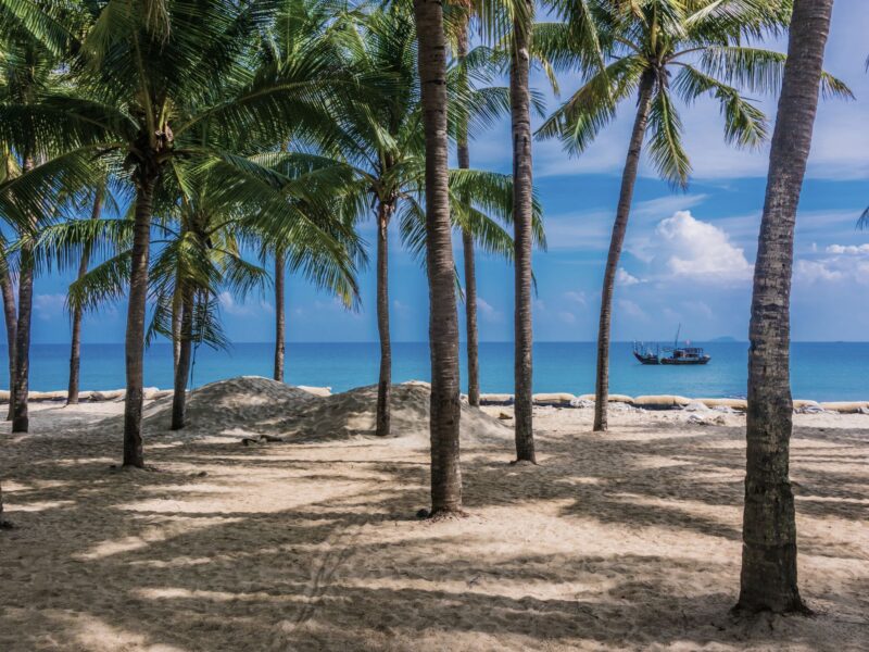 Yoga und Aquarellmalen Retreat für Frauen in Vietnam - OPEN TO RECEIVE