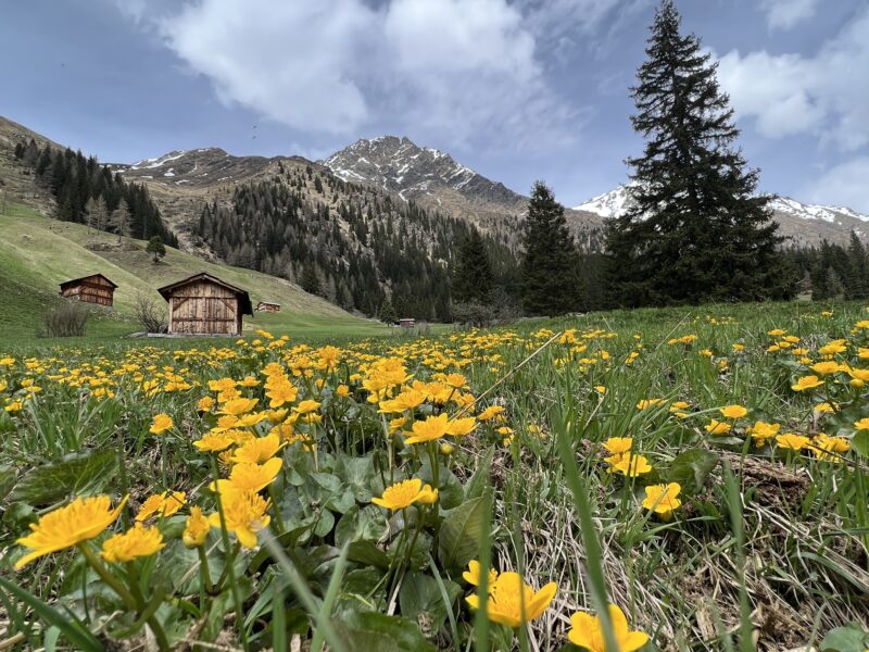 WanderRetreat Tirol - BergBaden & Almzauber