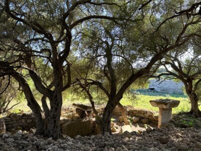 SPANISCH AUF MENORCA - LERNEN, ERLEBEN & GENIEßEN