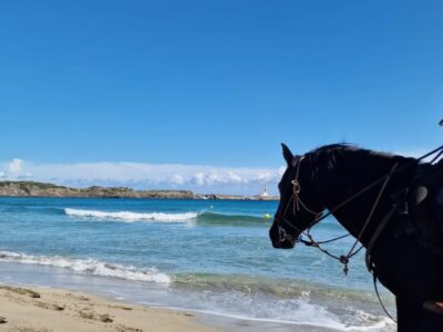 SPANISCH AUF MENORCA - LERNEN, ERLEBEN & GENIEßEN