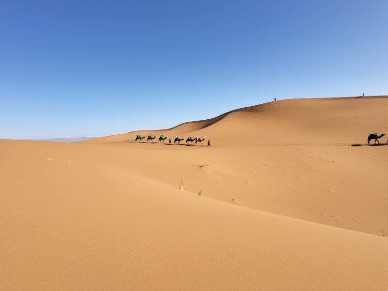 Wüsten-Retreat - Wandern in Stille durch die marokkanische Sahara