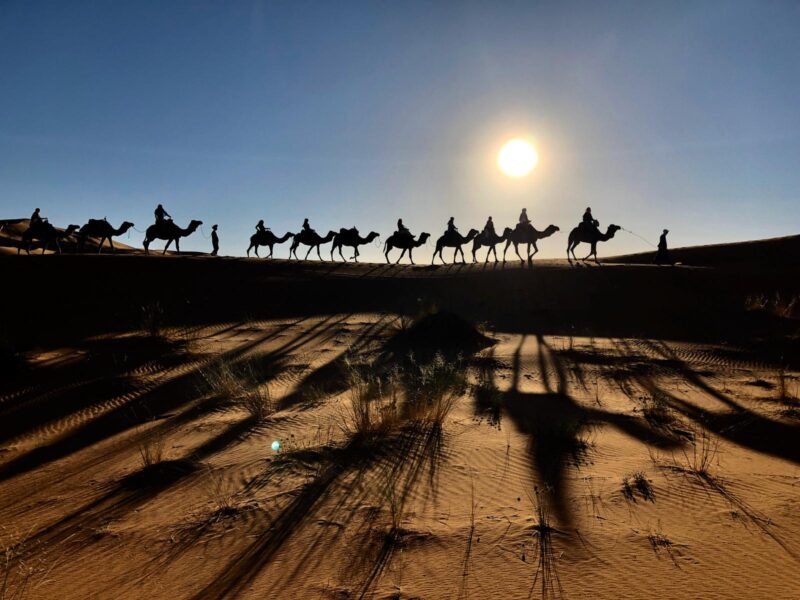 Entdecke die absolute Freiheit in der Sahara - eine Wüstenwanderung