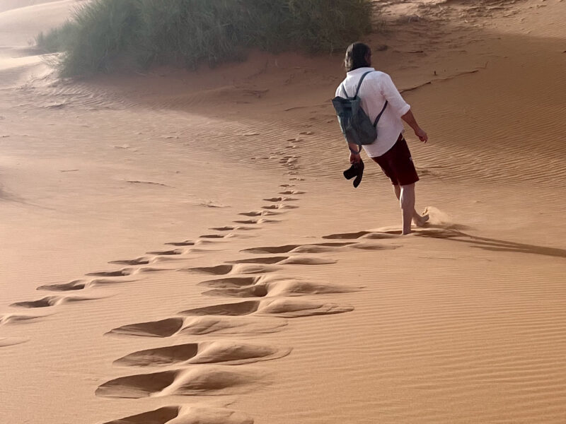 Entdecke die absolute Freiheit in der Sahara - eine Wüstenwanderung