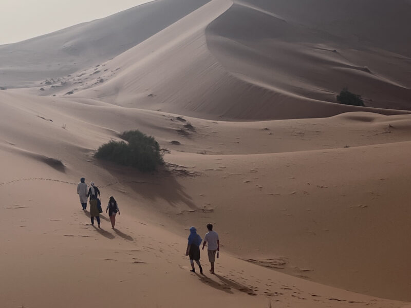 Entdecke die absolute Freiheit in der Sahara - eine Wüstenwanderung