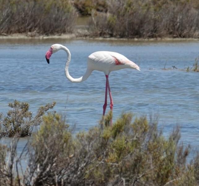 GOLDENE (Aus-) ZEIT für Frauen zwischen 40 und 60 Jahren auf Sardinien