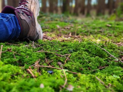 Wald & Seelenauszeit - Klarheit und Intuition in der Natur finden