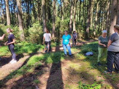 Wald & Seelenauszeit - Klarheit und Intuition in der Natur finden