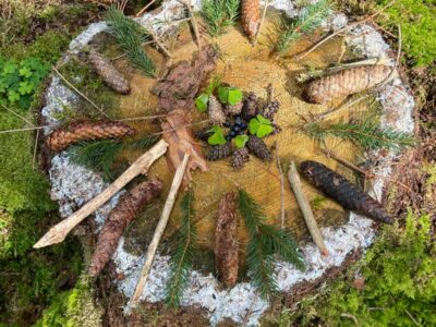 Wald & Seelenauszeit - Klarheit und Intuition in der Natur finden