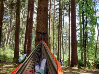 Wald & Seelenauszeit - Klarheit und Intuition in der Natur finden