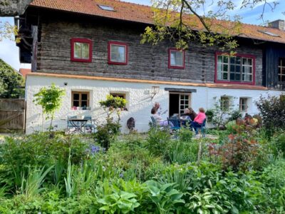 Wald & Seelenauszeit - Klarheit und Intuition in der Natur finden