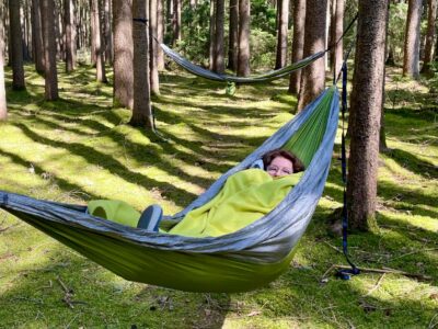 Wald & Seelenauszeit - Klarheit und Intuition in der Natur finden