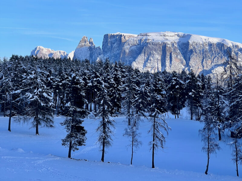 Leadership Coaching Retreat - 3 Tage Impulse, Kraft und Klarheit in den Dolomiten