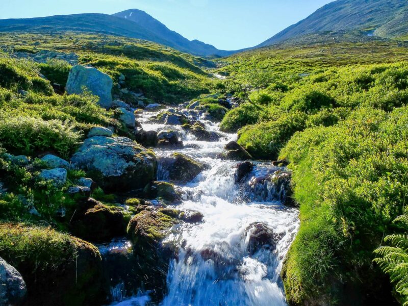 The Human-Nature Quest Wildnis Retreat Norwegen